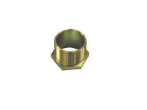 Greenbrook 25mm Brass Male Bush Long