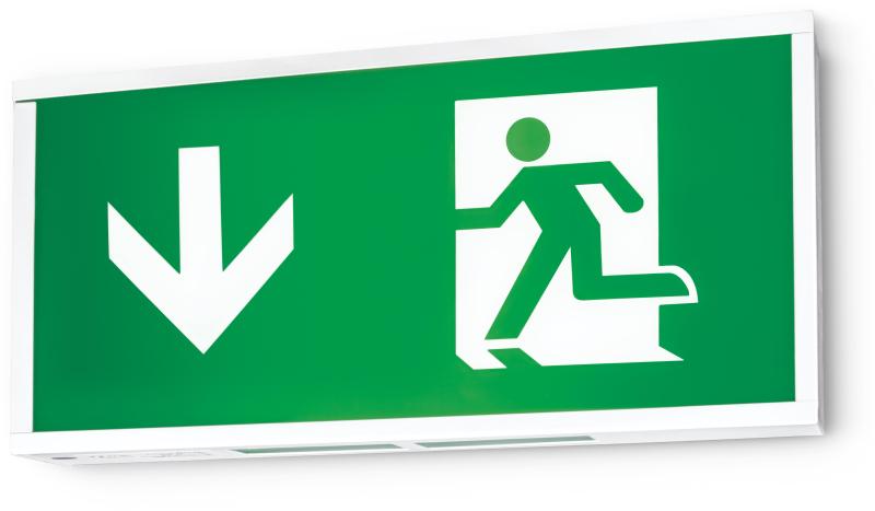 JCC 6W LED Emergency Exit Box with Down Arrow Legend