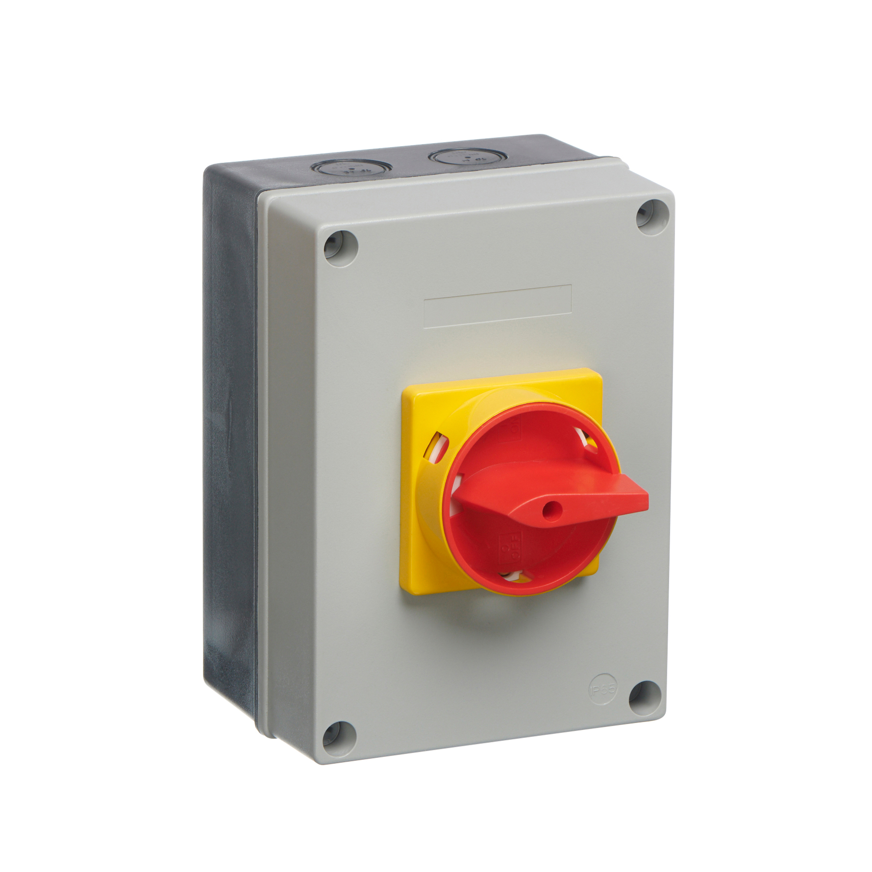 Europa 80A 4 Pole Rotary Isolator IP65