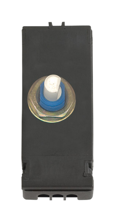 Click Minigrid 6A 2 Way Non Dimmable Push On/Off Module